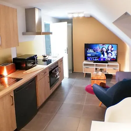 Flexappart Gosselies-charleroi Airport Apartment *